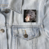 Schwarzer Bärn-Quadrat-Knopf Button (Beispiel)