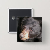 Schwarzer Bärn-Quadrat-Knopf Button (Vorne & Hinten)