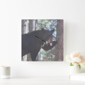 Schwarzer Bärn-Uhr Quadratische Wanduhr (Zuhause)