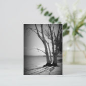 Schwarzer Baum am Meer Postkarte (Stehend Vorderseite)