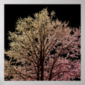 Schwarzer Baum Poster (Vorne)