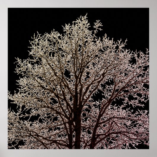 Schwarzer Baum Poster (Vorne)