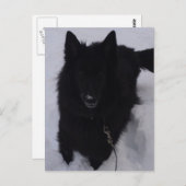 Schwarzer belgischer Hirte im Schnee Postkarte (Vorne/Hinten)