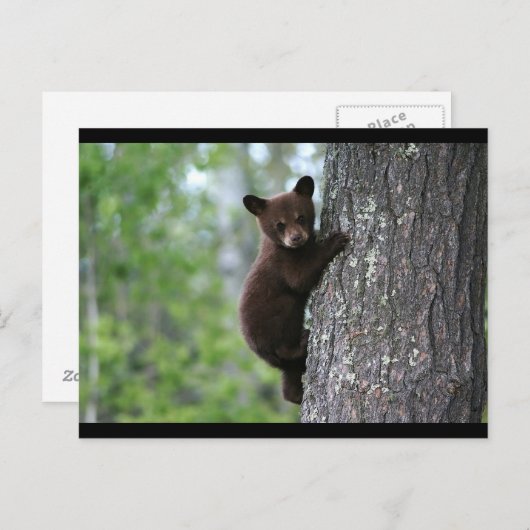 SCHWARZER BEUTEL POSTKARTE (Vorne/Hinten)