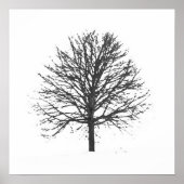 Schwarzer, blättriger Baum im Winter Poster (Vorne)