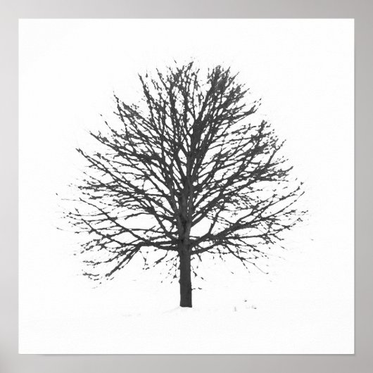 Schwarzer, blättriger Baum im Winter Poster (Vorne)