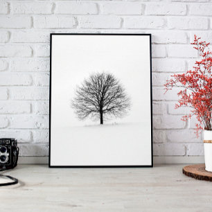 Schwarzer, blättriger Baum im Winter Poster