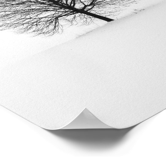 Schwarzer, blättriger Baum im Winter Poster (Ecke)
