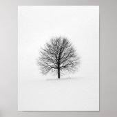 Schwarzer, blättriger Baum im Winter Poster (Vorne)