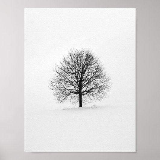 Schwarzer, blättriger Baum im Winter Poster (Vorne)