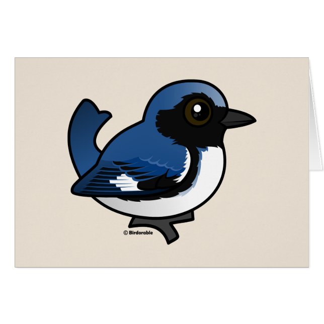 Schwarzer Blauer Warbler (Vorderseite (Horizontal))