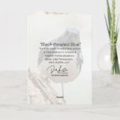 Schwarzer Blauer Warbler Karte (Rückseite)