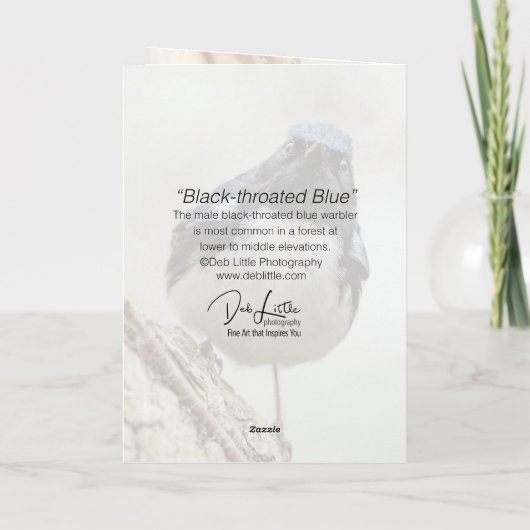 Schwarzer Blauer Warbler Karte (Rückseite)