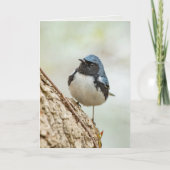 Schwarzer Blauer Warbler Karte (Vorderseite)