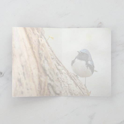 Schwarzer Blauer Warbler Karte (Innenseite)