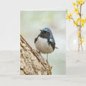 Schwarzer Blauer Warbler Karte (Gelbe Blume)