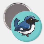 Schwarzer Blauer Warbler Magnet (Vorderseite/Rückseite)