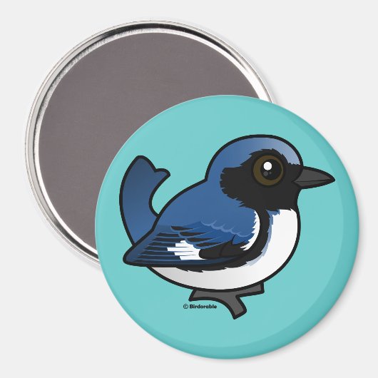 Schwarzer Blauer Warbler Magnet (Vorderseite/Rückseite)