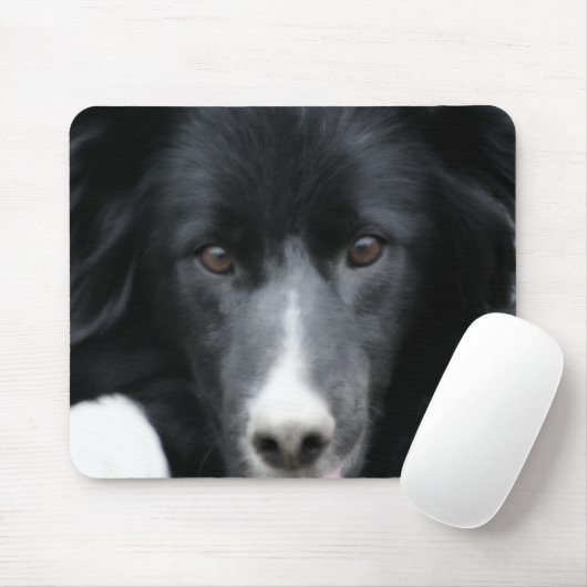 Schwarzer Border Collie Face Dog Mousepad (Mit Mouse)