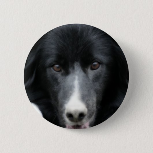 Schwarzer Border-Collie-Gesichts-Hundeknopf Button (Vorderseite)