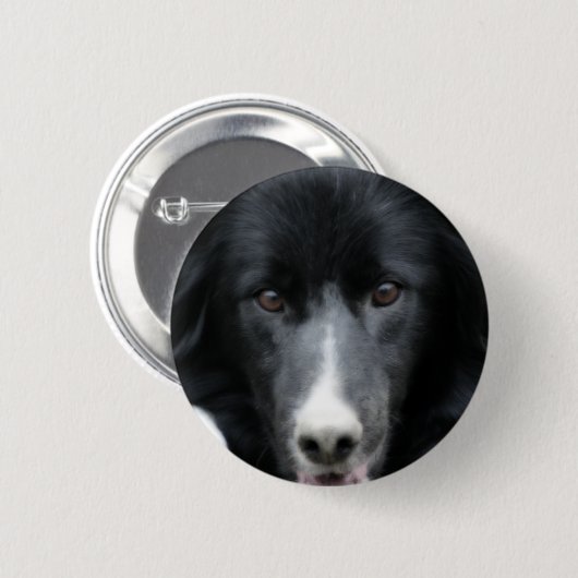 Schwarzer Border-Collie-Gesichts-Hundeknopf Button (Vorne & Hinten)