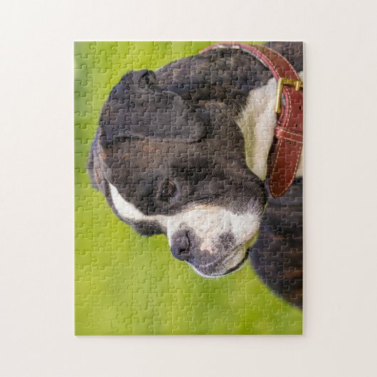 Schwarzer Boxhund Puzzle (Vertikal)