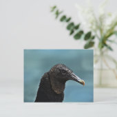 Schwarzer Buzzard Postkarte (Stehend Vorderseite)