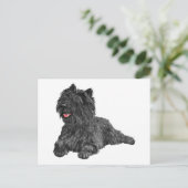 Schwarzer Cairn Terrier Postkarte (Stehend Vorderseite)