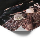 Schwarzer Canyon des Gunnison Poster (Ecke)