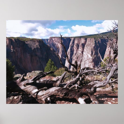 Schwarzer Canyon des Gunnison Poster (Vorne)