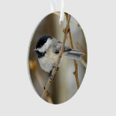 Schwarzer Chickadee Akrylorischer Ornament (Vorderseite)