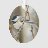 Schwarzer Chickadee Akrylorischer Ornament (Vorderseite)