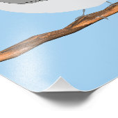 Schwarzer Chickadee-Druck Fotodruck (Ecke)