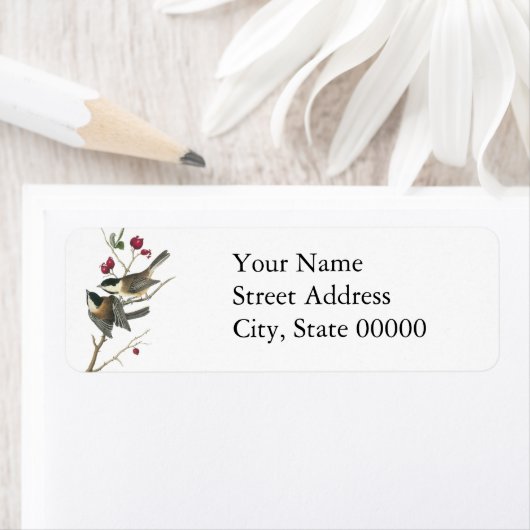 Schwarzer Chickadee, John Audubon (Insitu)