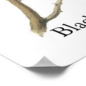 Schwarzer Chickadee, John Audubon Poster (Ecke)