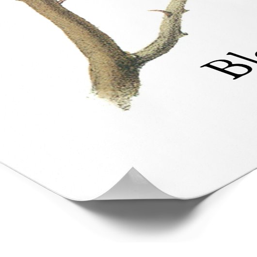 Schwarzer Chickadee, John Audubon Poster (Ecke)