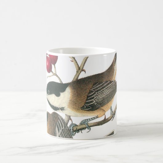 Schwarzer Chickadee von Audubon Kaffeetasse (Mittel)