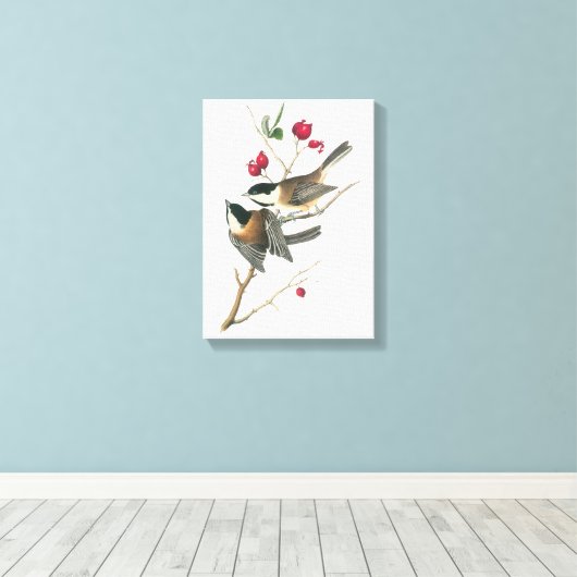 Schwarzer Chickadee von Audubon Leinwanddruck (Insitu (Holzboden))