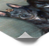 Schwarzer Chihuahua-Hund mit benutzerdefiniertem M Poster (Ecke)