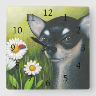 Schwarzer Chihuahua-Marienkäfer des Hund79 Quadratische Wanduhr