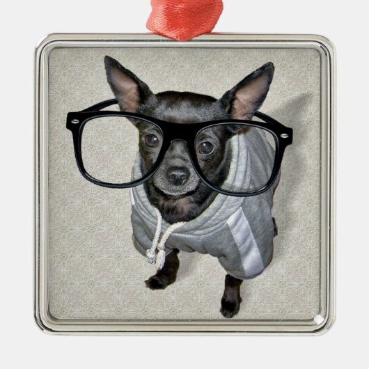 Schwarzer Chihuahua mit Glas-Foto Ornament Aus Metall (Vorne)