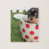 Schwarzer Chihuahua-Welpe in einer roten Spotter Puzzle (Vertikal)