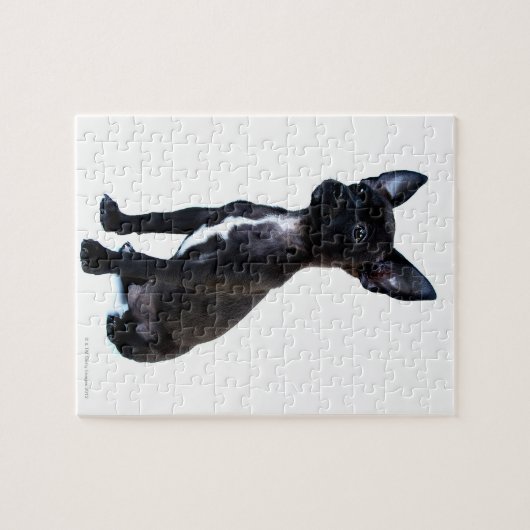 Schwarzer Chihuahua-Welpe Puzzle (Horizontal)