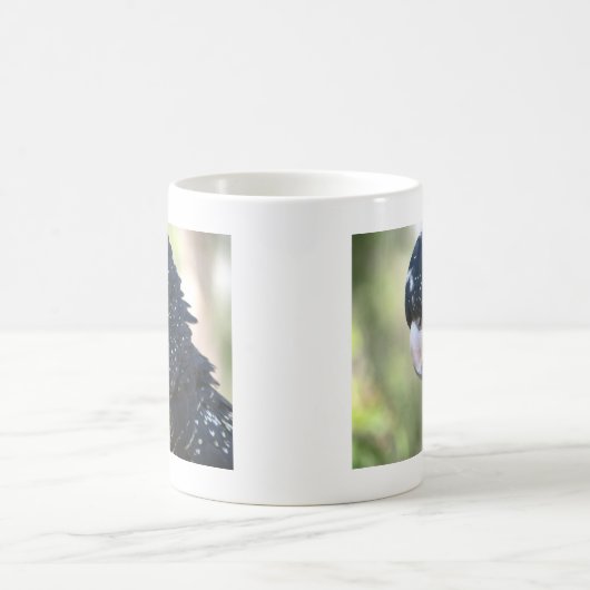 Schwarzer Cockatoo Kaffeetasse (Mittel)