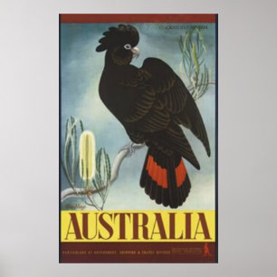 Schwarzer Cockatoo-Vintages Plakat