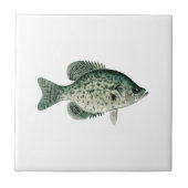 Schwarzer Crappie Fliese (Vorderseite)