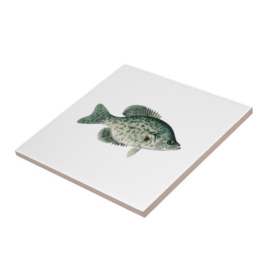 Schwarzer Crappie Fliese (Seite)