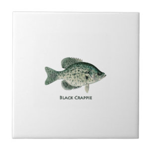 Schwarzer Crappie Fliese