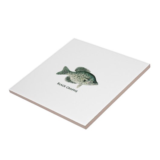 Schwarzer Crappie Fliese (Seite)