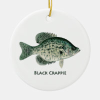 Schwarzer Crappie